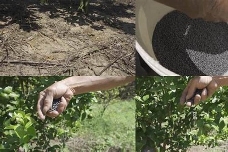 自己如何自制钾肥、氮肥？谢谢