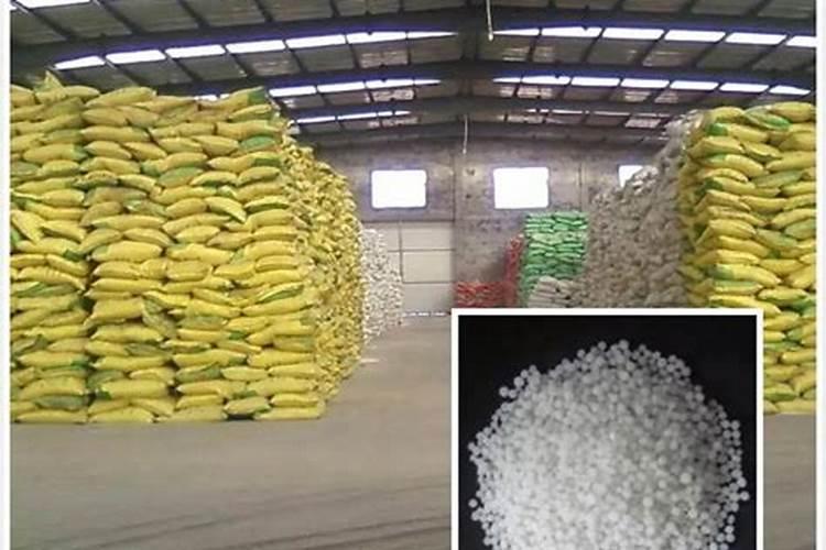为什么豆类植物不需要施氮肥