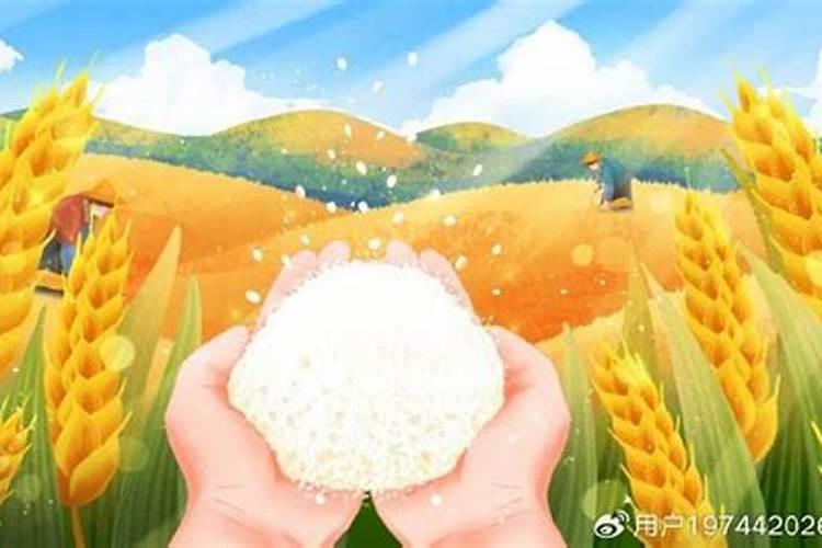 草莓怎么施肥和浇水