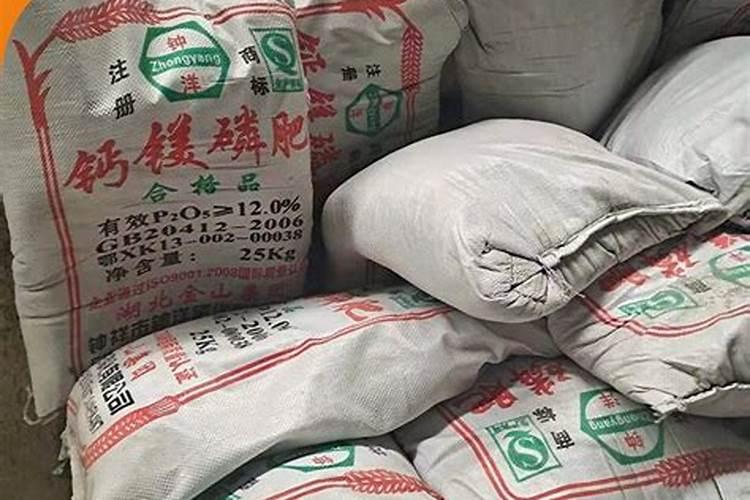 果树施肥是在根系生长时还是在果子生长时期好