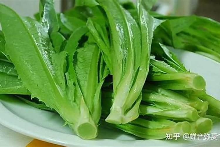 方城县袁店回族乡:“四及时四确保”加强烟苗管理