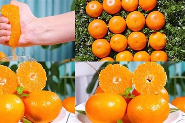 如何提高沃柑甜度和品质 沃柑高产种植技术