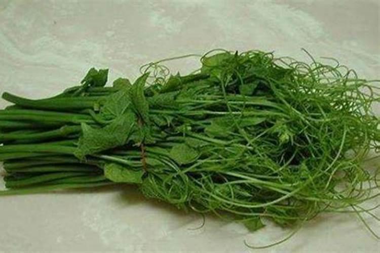 一年四季都种有哪些蔬菜呀？