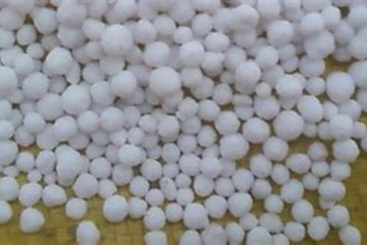 土豆种植用什么肥料好