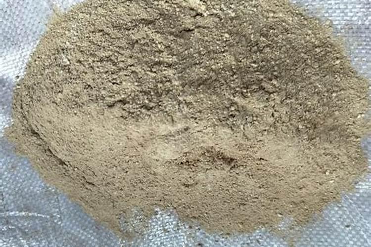 君子兰开花需要什么肥料