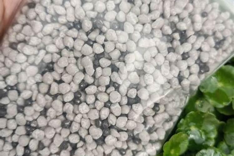 苹果补钙有哪些误区