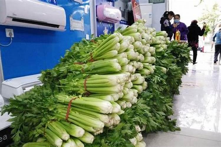 芹菜浇水冲施什么肥料