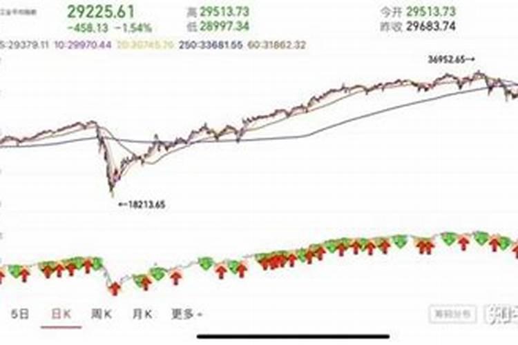 铁线莲如何浇水