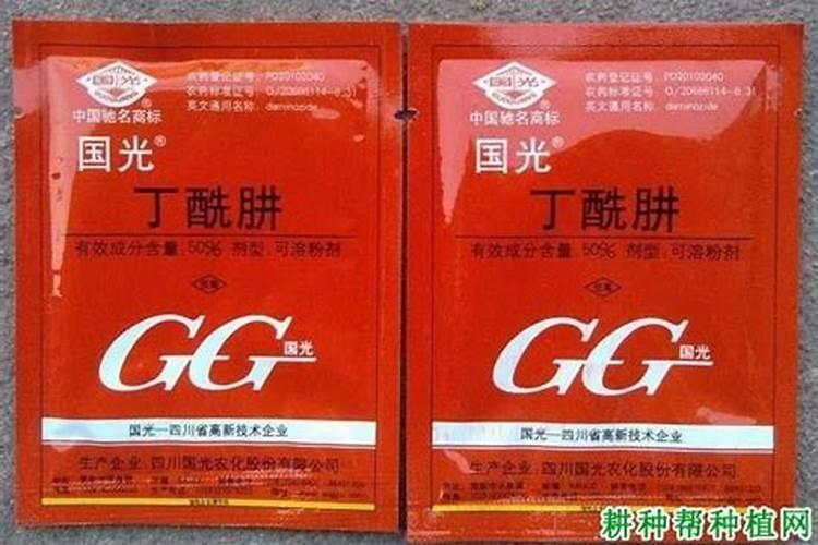 荔枝保花保果期需要施肥吗？用什么效果好