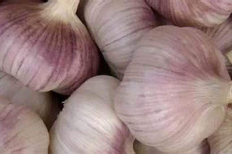 大蒜能用尿素吗 要怎么做