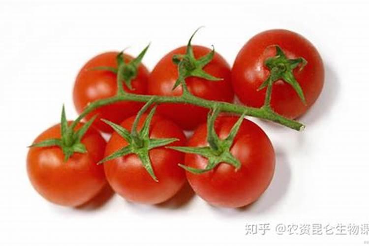 尿素几天见效肥效多少天