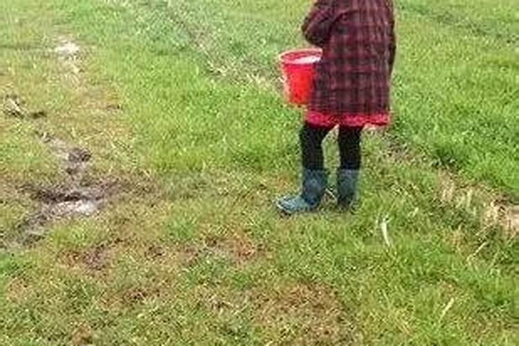 小麦冬季施肥时间施什么肥料小麦冬季施肥的最佳时间冬天施什么肥百度...