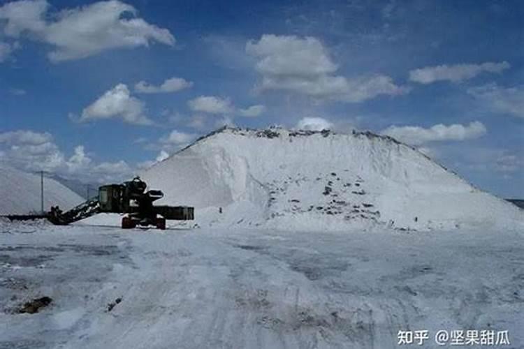 豇豆打什么药好