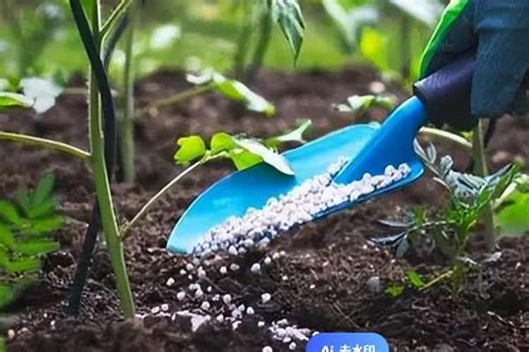 谁用过这个果树液体施肥枪的,效果如何