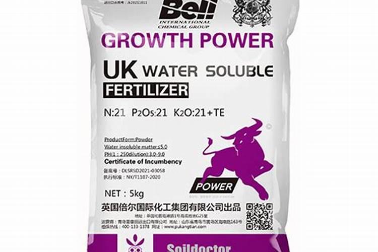 月季施肥过多烧根了怎么办？