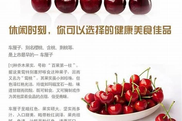 球兰怎么养护最好呢？