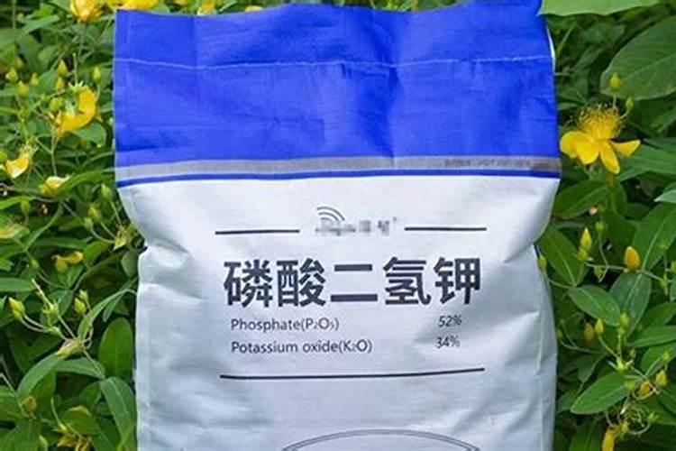 大豆什么时候追肥合适？