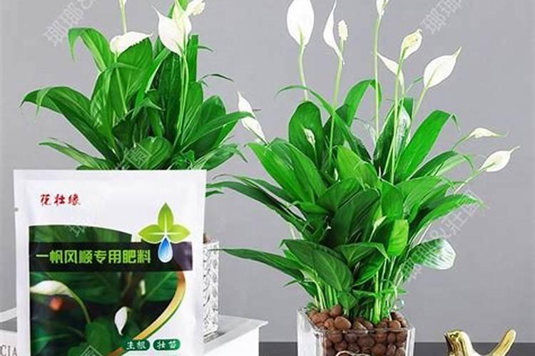 麦蒿除草剂对苹果树的危害？