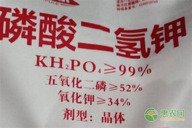 莴笋大规模种植施什么肥 怎么施肥长的粗壮