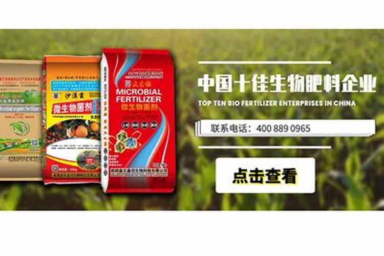 有机肥发嗅是什么原因