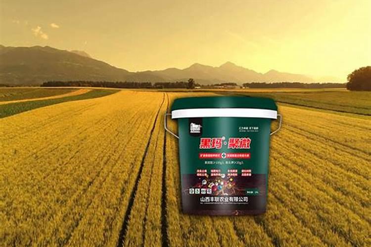 菠菜叶面肥大葱能用吗