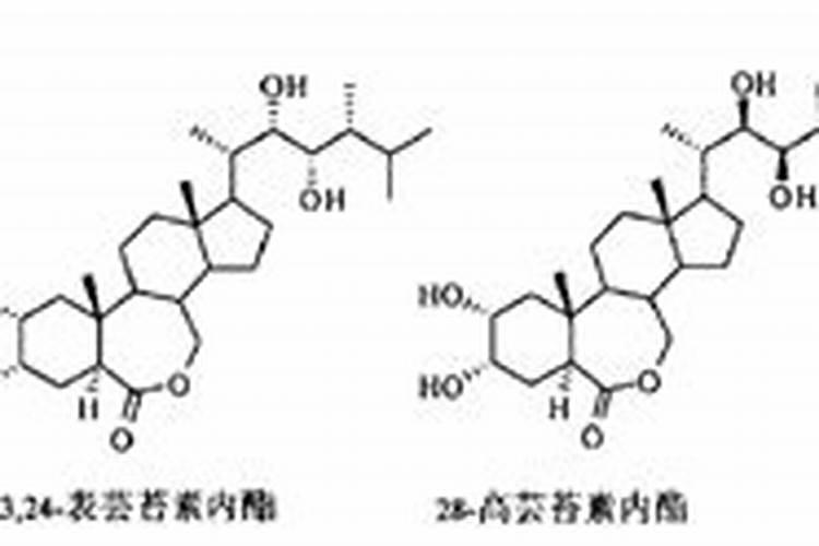 芸苔素内酯用过量了,怎么治