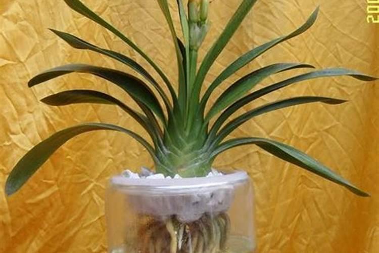 来聊一下钾肥的种类