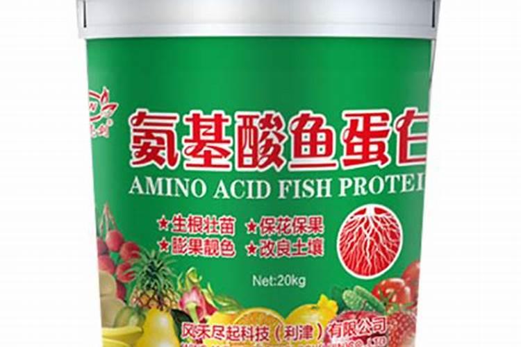 种植茨菇有什么好的方法