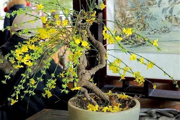 大豆怎样发酵做有机肥