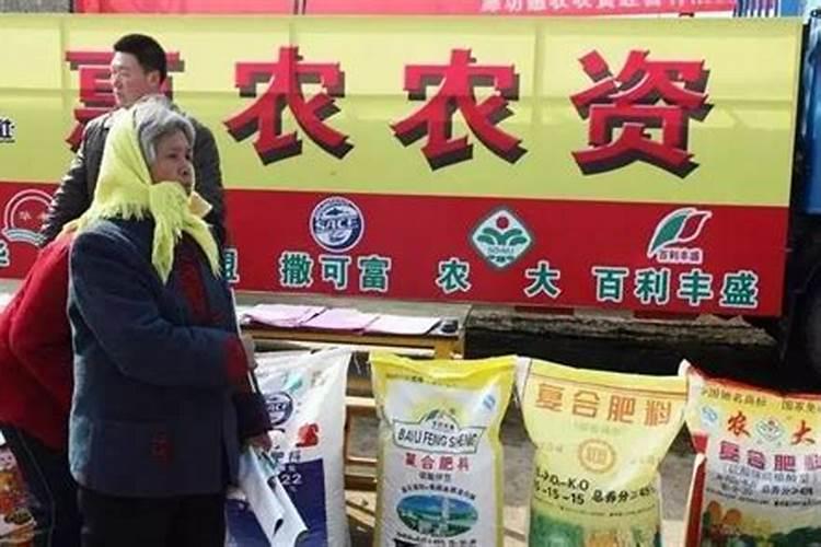 一斤洋葱种子可以栽几亩地