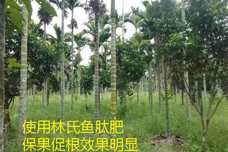 芹菜如何保存急用