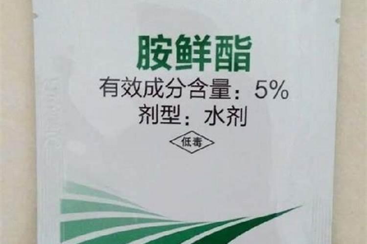 胺鲜酯实现膨大效果的具体配方是什么