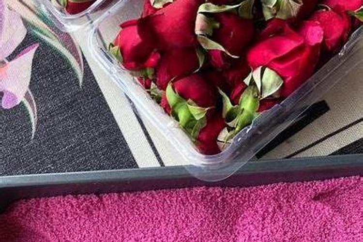 玫瑰花黄叶掉叶怎么办