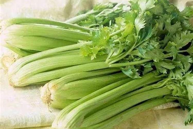 马克托尼玉米专用抗虫肥可靠吗