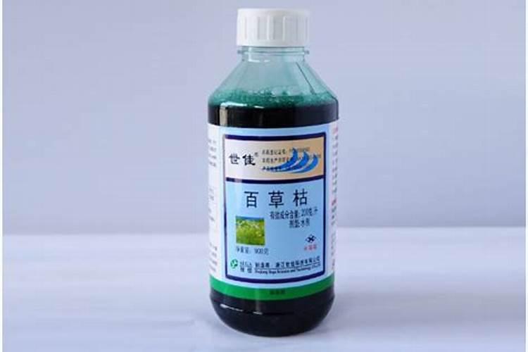 薰衣草有几种颜色,分别是哪些