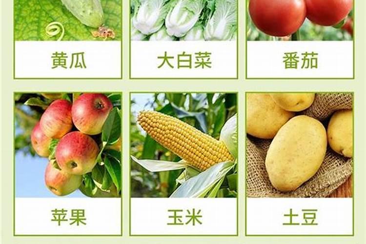 怎样解硼肥药害