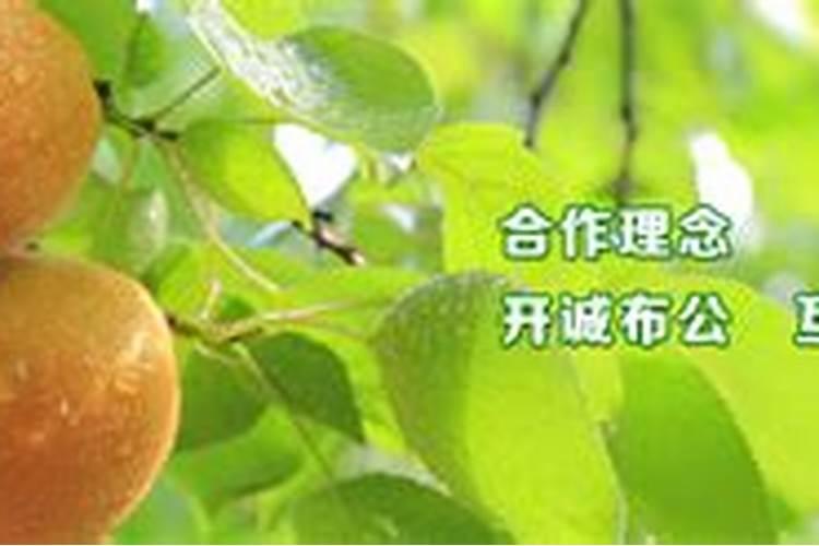 尿素二铵钾肥弄在一起和复合肥比哪样好