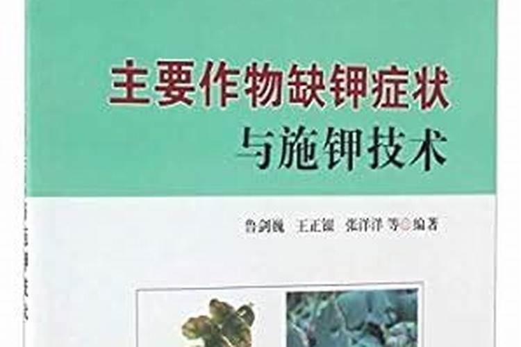 海藻肥的功效与作用