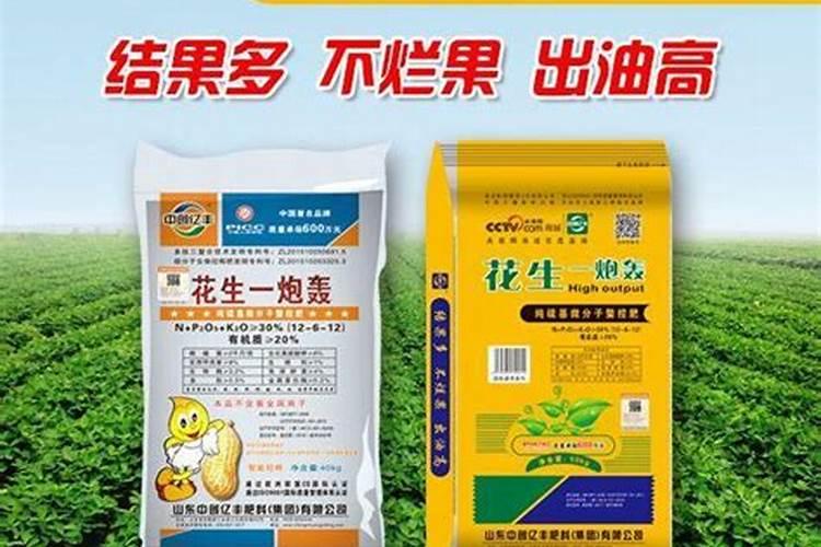 如何种植香菇的正确方法是什么