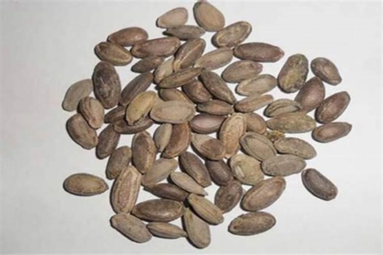 瓜蒌的繁殖方法和田间管理