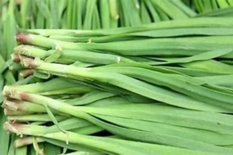 韭菜最忌三种肥料
