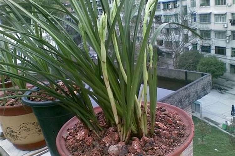 山东寿光蔬菜产业集团商品交易所(寿光蔬菜现货交易所)