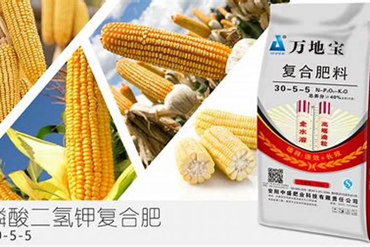 为何很多人种植玉米使用磷酸二氢钾？有哪些功效吗？