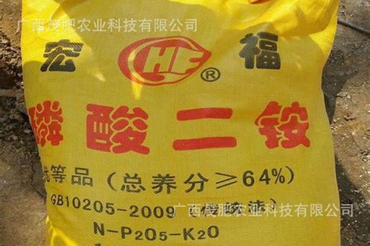 磷酸二铵与硝酸磷肥哪个好