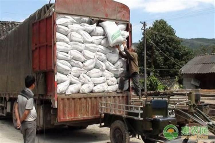 芸苔素可以控旺吗