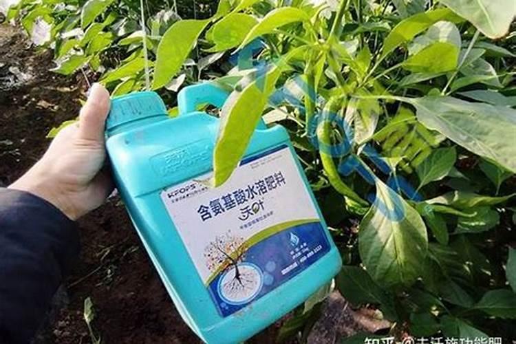 国产水溶肥哪个品牌效果好