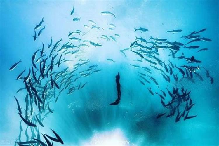 腐植酸水溶肥是什么？它有啥作用呢？