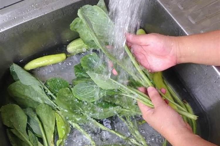 生活中什么是氮肥