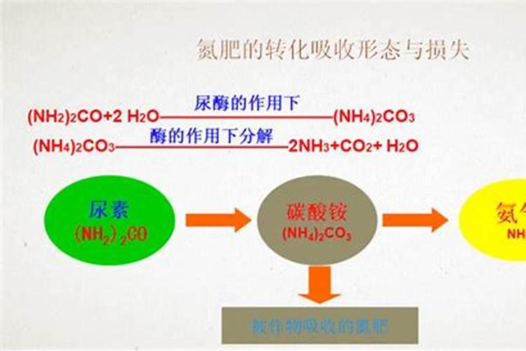 含聚谷氨酸闪溶磷酸二氢钾粉剂叶面肥,功能肥和菌肥的区别