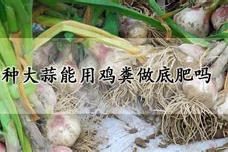 大蒜能用尿素吗 要怎么做